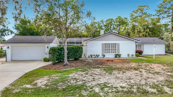 1417 Bavon Avenue, SPRING HILL, FL 34609