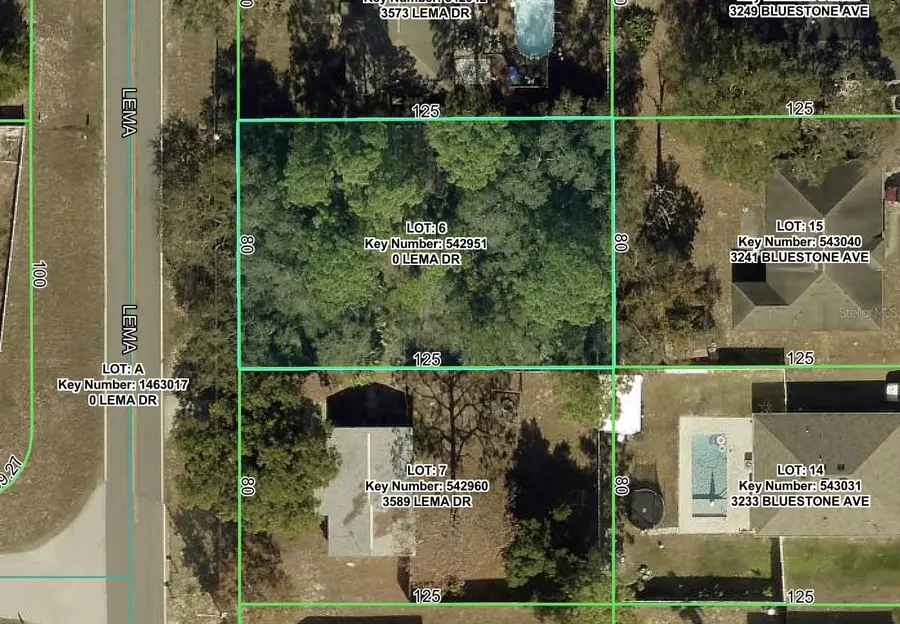 3581 Lema Drive, Spring Hill, FL 34609 - #2