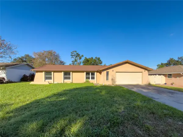 1804 Orange Hill Drive, BRANDON, FL 33510