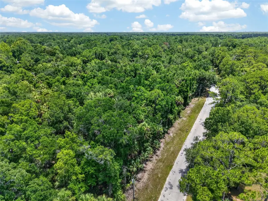 SE Butler Road, Inglis, FL 34449 - #3