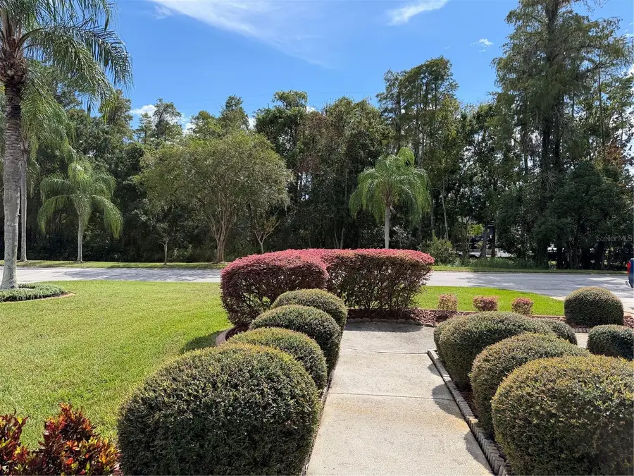 2311 Oasis Drive, Land O Lakes, FL 34639 - #2