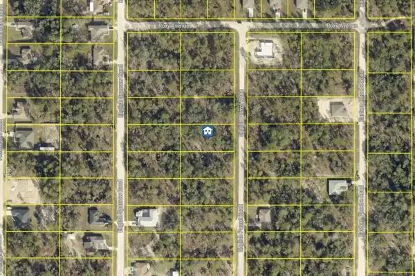 LOT 17 English Parrot Road, WEEKI WACHEE, FL 34614