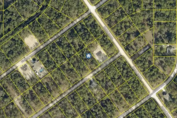 LOT 15 Resort Avenue, WEEKI WACHEE, FL 34614