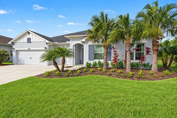 16160 November Rain Court, LAND O LAKES, FL 34638