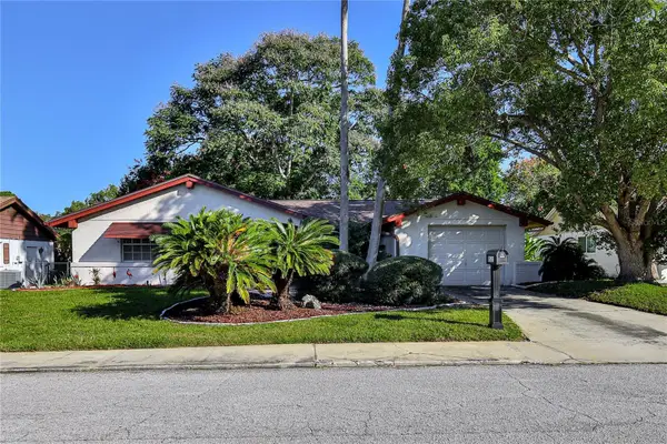 8511 Sunflower Lane, HUDSON, FL 34667