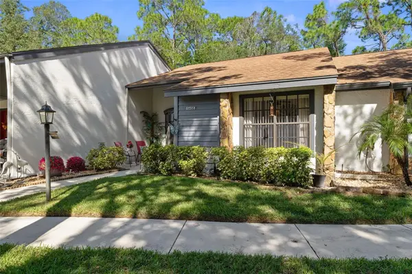 6466 Nature Preserve Lane, SPRING HILL, FL 34606