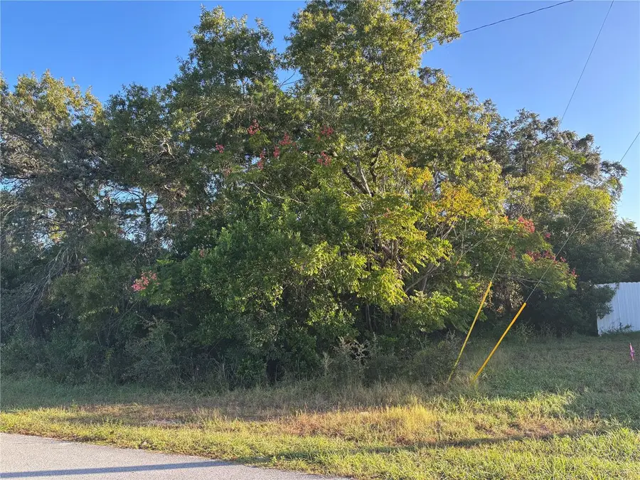 Lot 1 Mayflower Road, Spring Hill, FL 34608 - #3