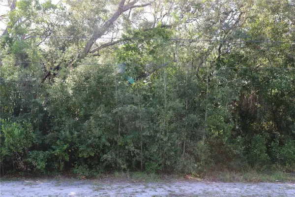 1221 Sylvia Avenue, SPRING HILL, FL 34606
