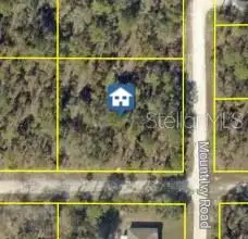 11331 Sneeze Road, Weeki Wachee, FL 34614 - #1