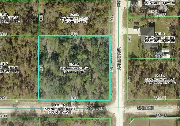 11331 Sneeze Road, Weeki Wachee, FL 34614 - #2