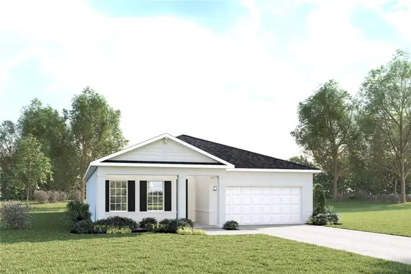 6039 Wild Petunia Drive, WIMAUMA, FL 33598