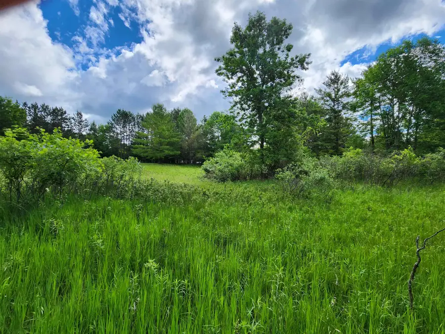 Lot 19 Huntington Circle, Gladwin, MI 48624 - #3