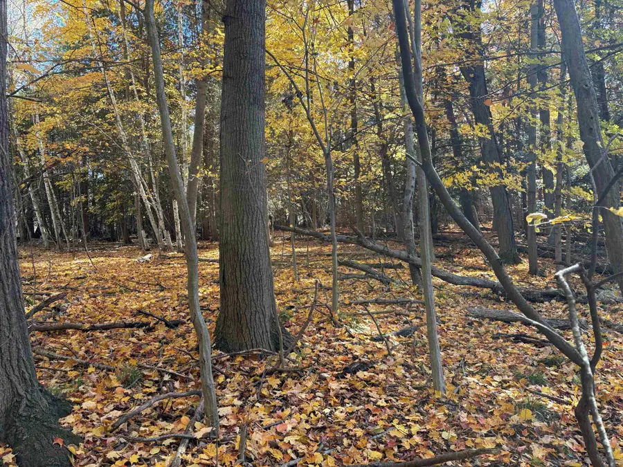 0 M-61 Highway, Standish, MI 48658 - #2