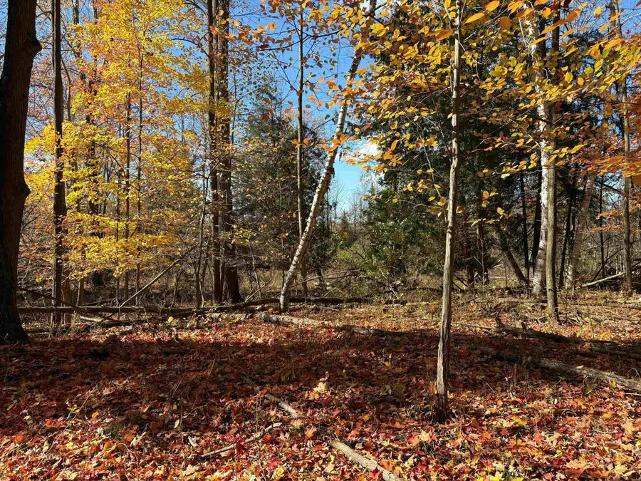 0 M-61 Highway, Standish, MI 48658 - #3