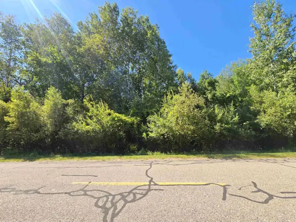 0 Salisbury Drive, Gladwin, MI 49624