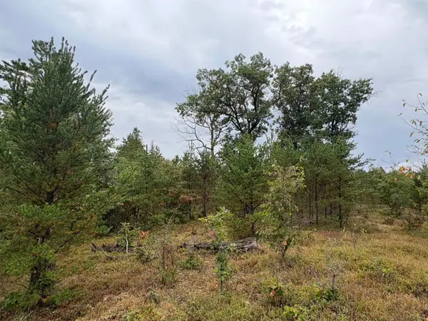 0 Hall Road, Roscommon, MI 48653