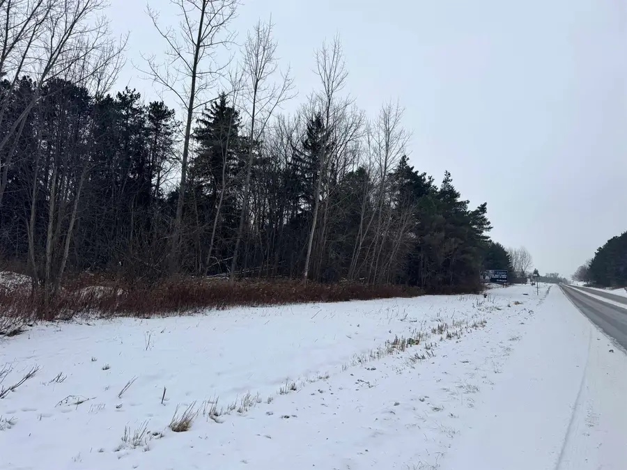 V/L W Caro Road, Caro, MI 48723 - #3