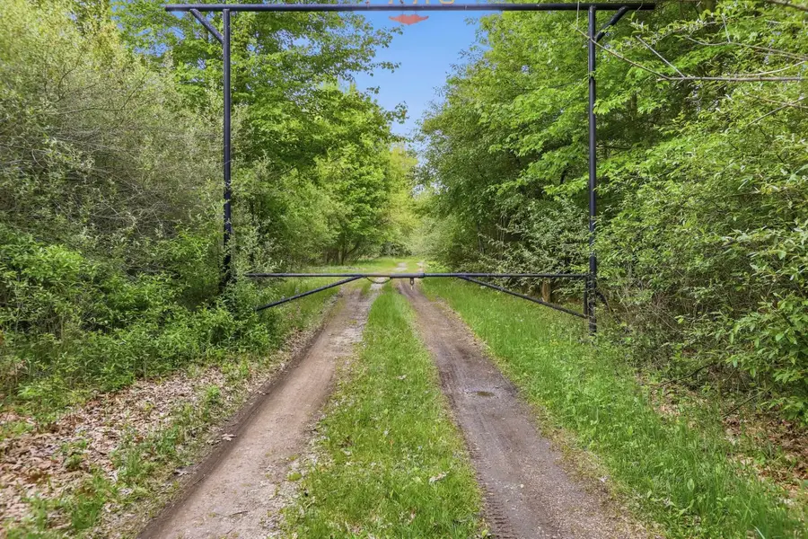 VL S Chapin Road, Elsie, MI 48831 - #2