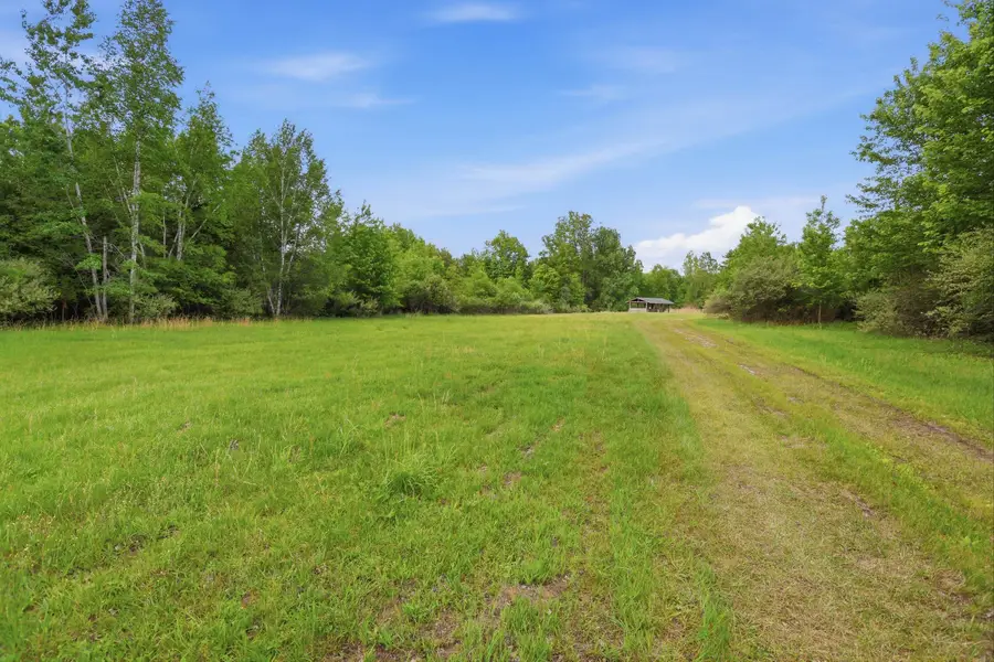 VL S Chapin Road, Elsie, MI 48831 - #3