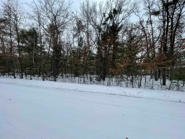 VL Whitetail Drive, Alger, MI 48610
