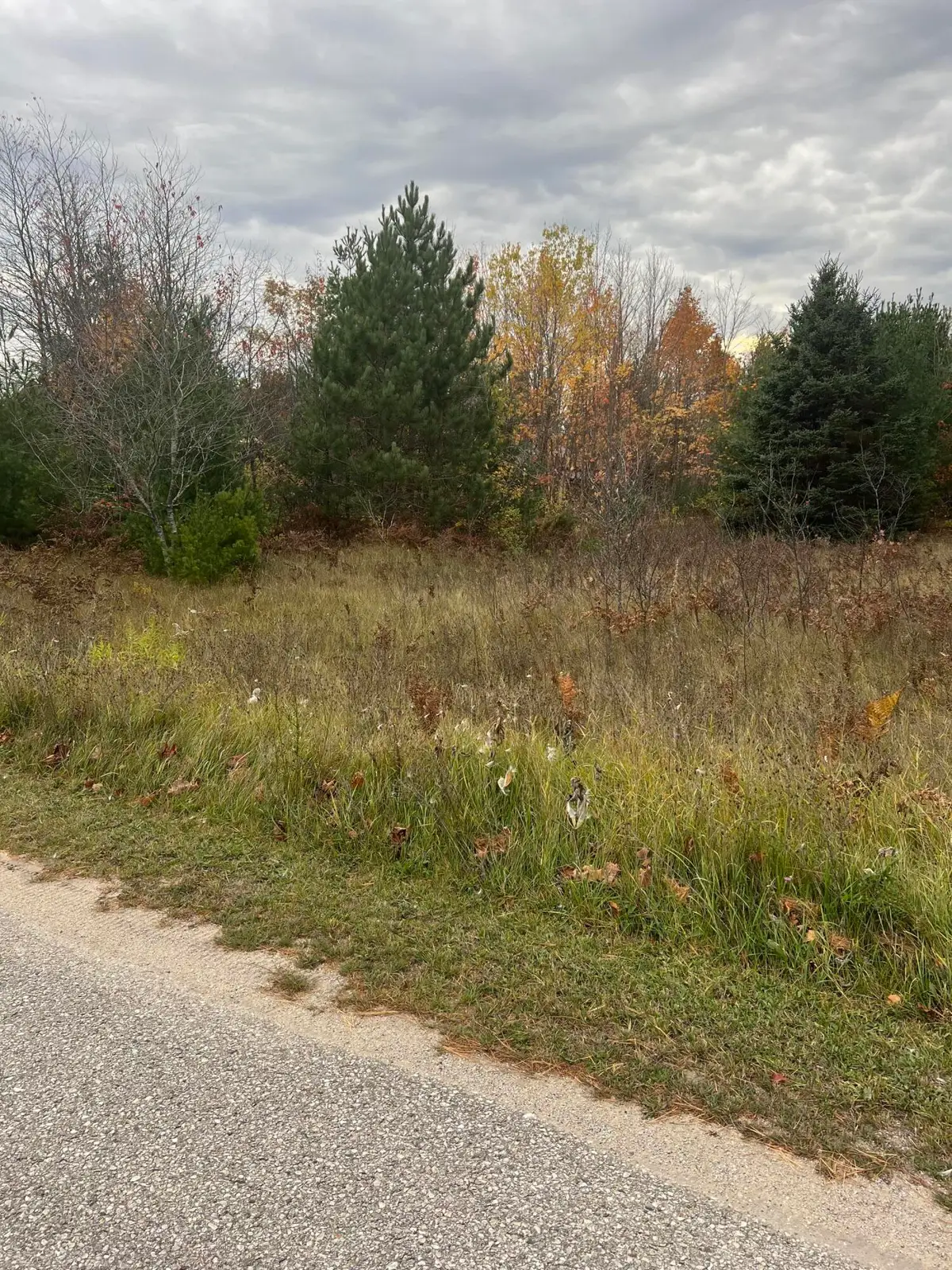 LOT 17 Sherry Lynn Drive, Engadine, MI 49868 - Image #1