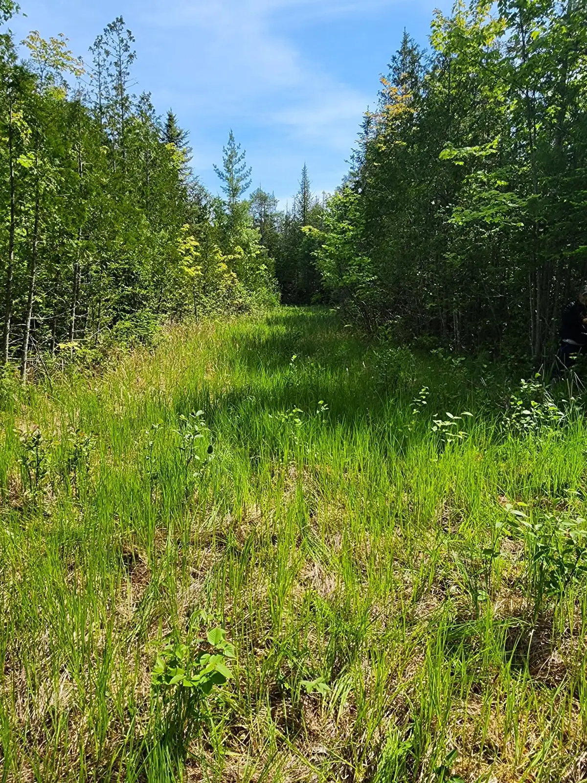 . E 27 Mile, Goetzville, MI 49736 - #1