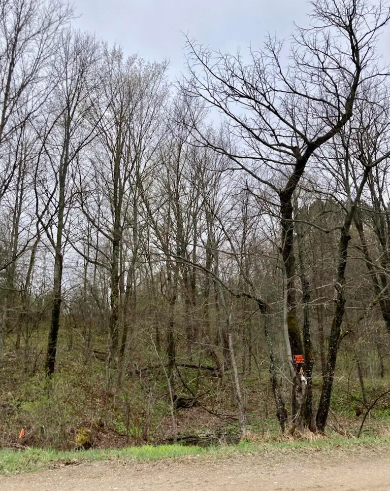 6853 N 7 Rd, Mesick, MI 49668 - Image #2