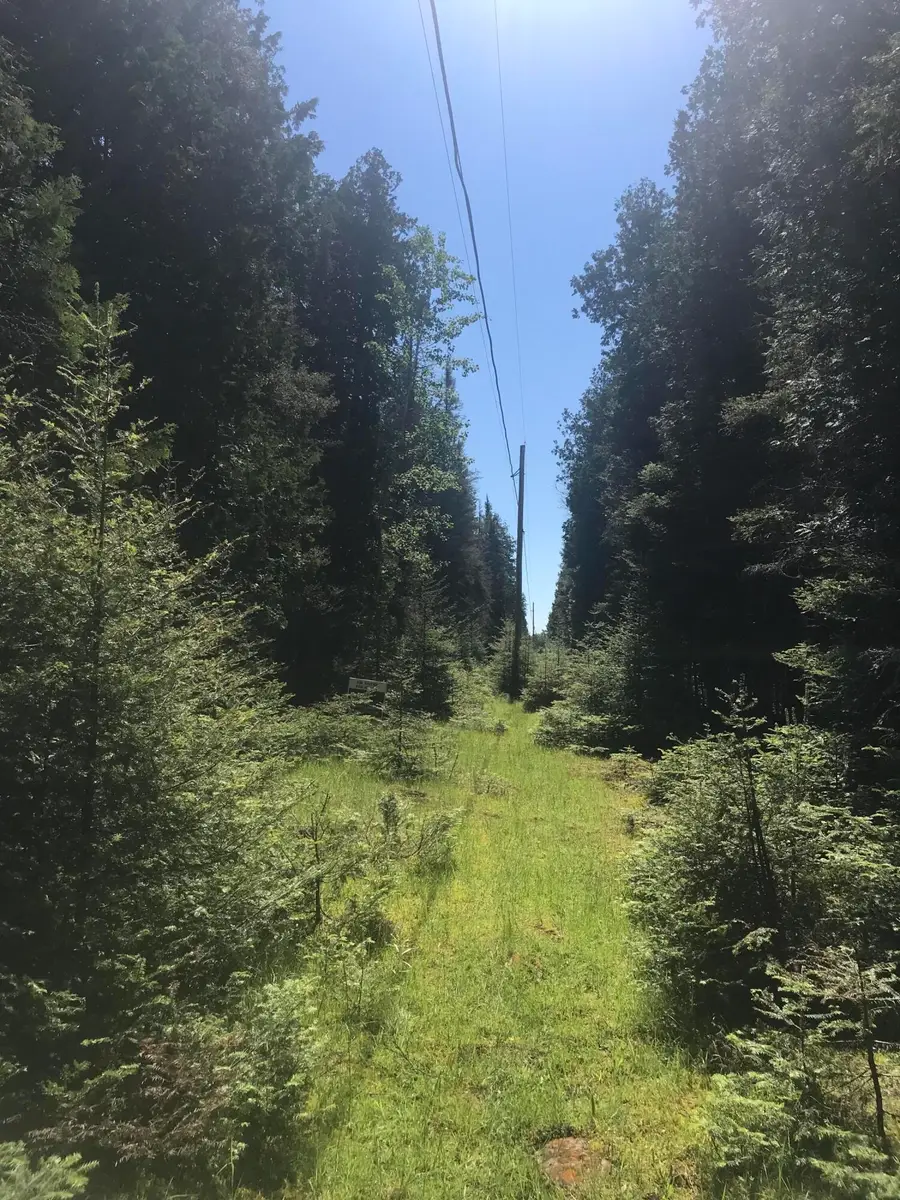 TBD S Coryell Island, Cedarville, MI 49719 - Image #3