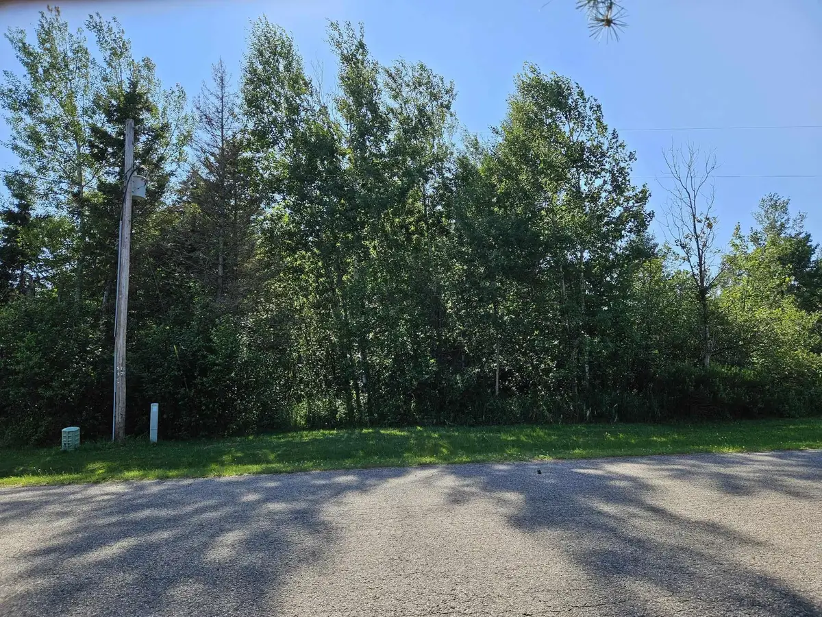 3032 S Frances St, Sault Sainte Marie, MI 49783 - #1