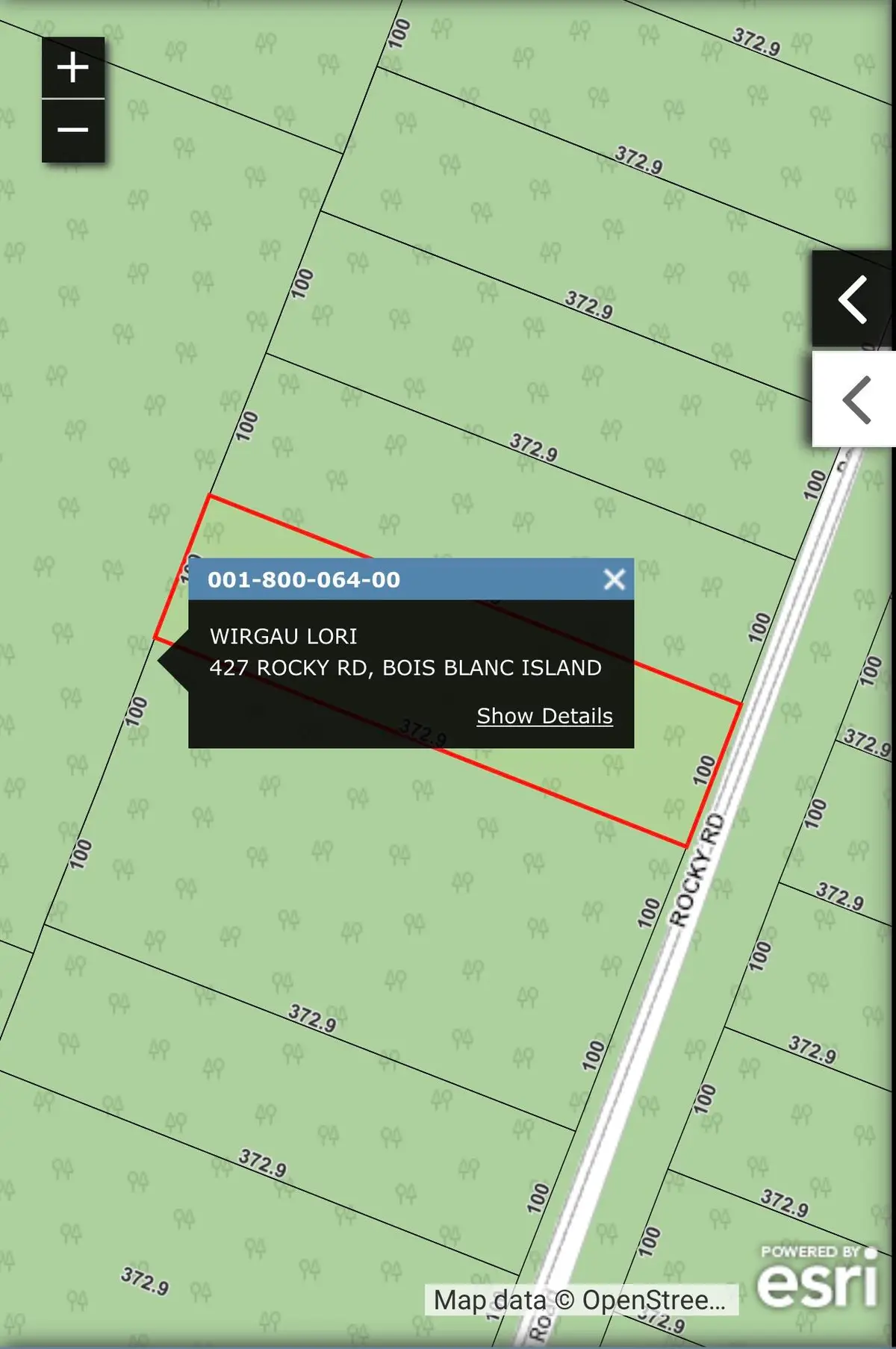 427 Rocky Rd, Pointe Aux Pins, MI 49775 - Image #1