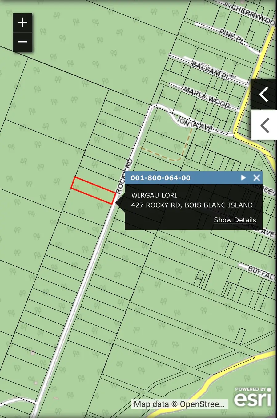 427 Rocky Rd, Pointe Aux Pins, MI 49775 - Image #2