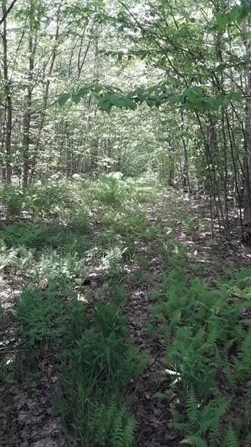 1314 S Brasser Rd, Sugar Island, MI 49783