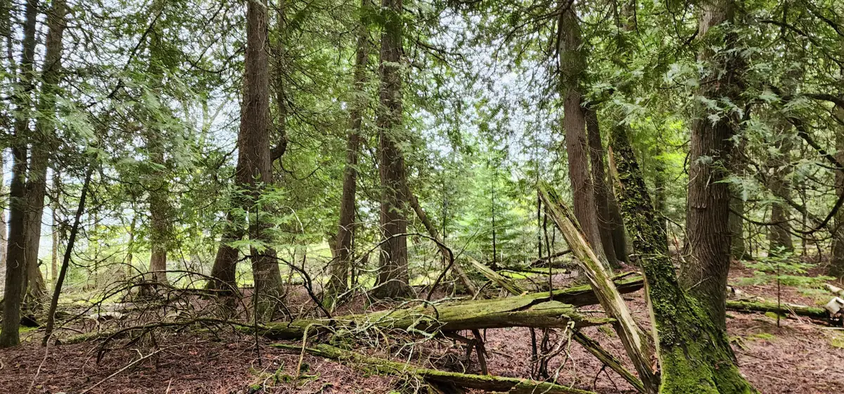 TBD E Little Lasalle Is, Cedarville, MI 49719 - Image #1