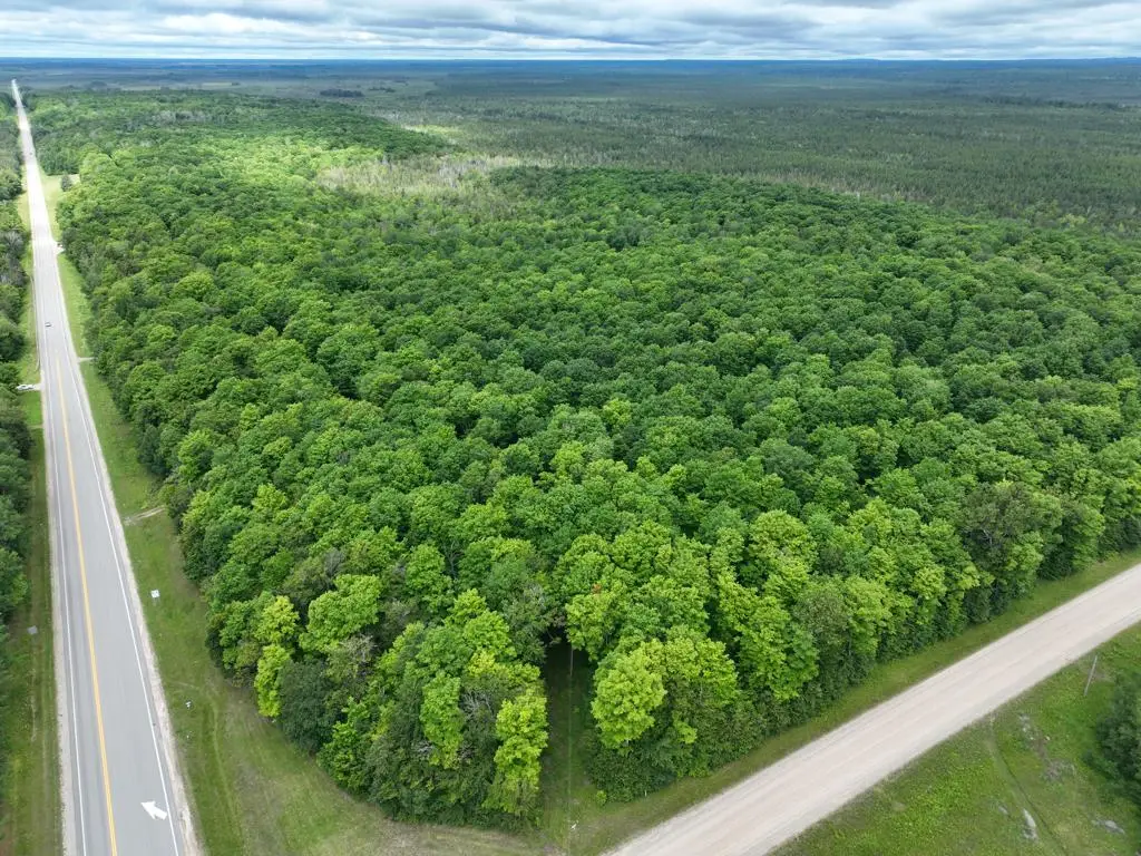 000 M-28, McMillan, MI 49853 - #1