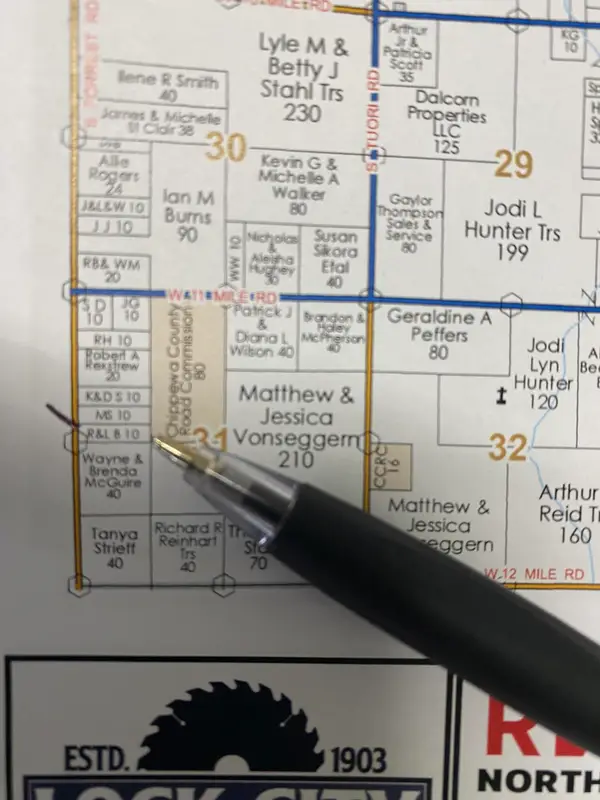 9.9 acres Forrest Side Rd, Dafter, MI 49724