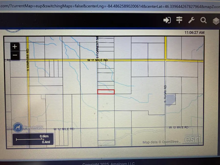 9.9 acres Forrest Side Rd, Dafter, MI 49724 - Image #2