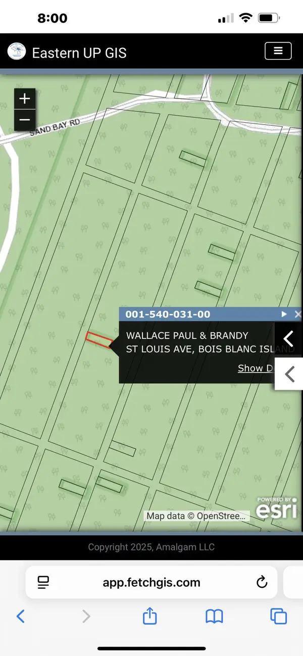 15B49 St. Louis Ave, Bois Blanc, MI 49775