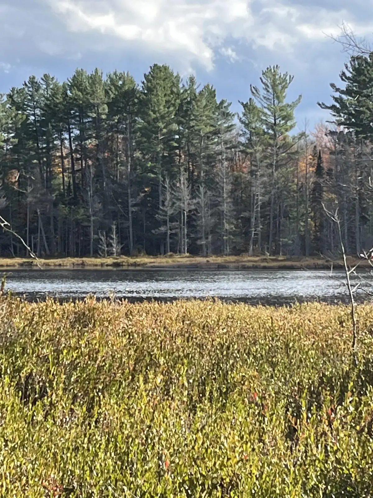 11974 Chesbrough Lake Road Rd, Newberry, MI 49868 - Image #1