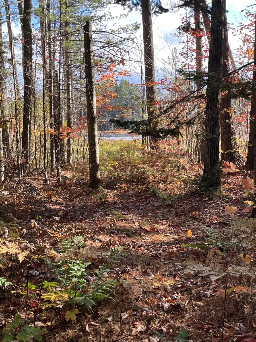 11974 Chesbrough Lake Road Rd, Newberry, MI 49868 - Image #3