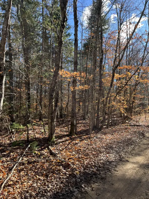 000 North Fordney Tower Road, Newberry, MI 49868