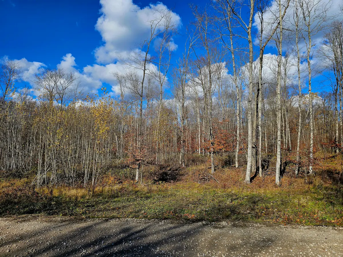 PARCEL C North Road, Curtis, MI 49820 - Image #1