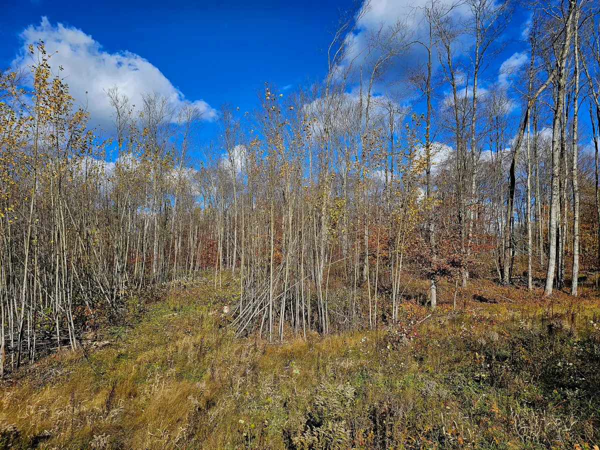 PARCEL B North Road, Curtis, MI 49820 - Image #1