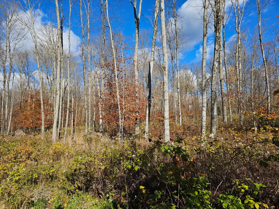 PARCEL B North Road, Curtis, MI 49820 - Image #3