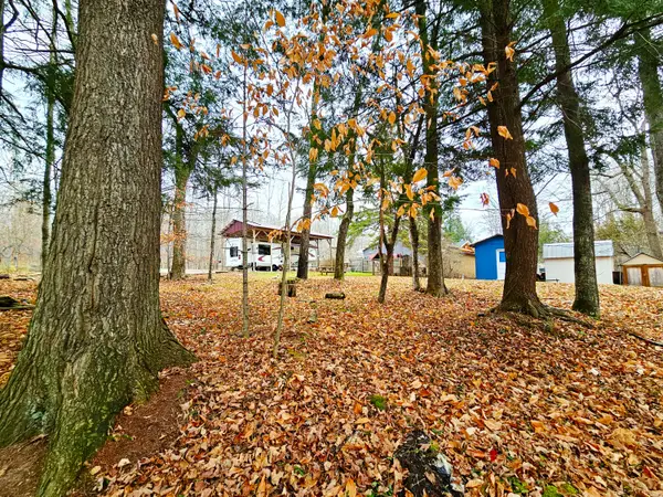 W 17665 S Curtis Rd, Germfask, MI 49836