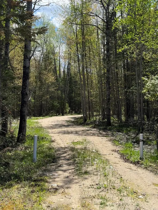 25 Acres M-28, Newberry, MI 49868