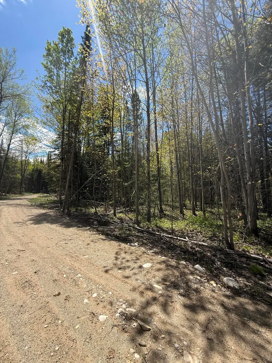 25 Acres M-28, Newberry, MI 49868 - #3