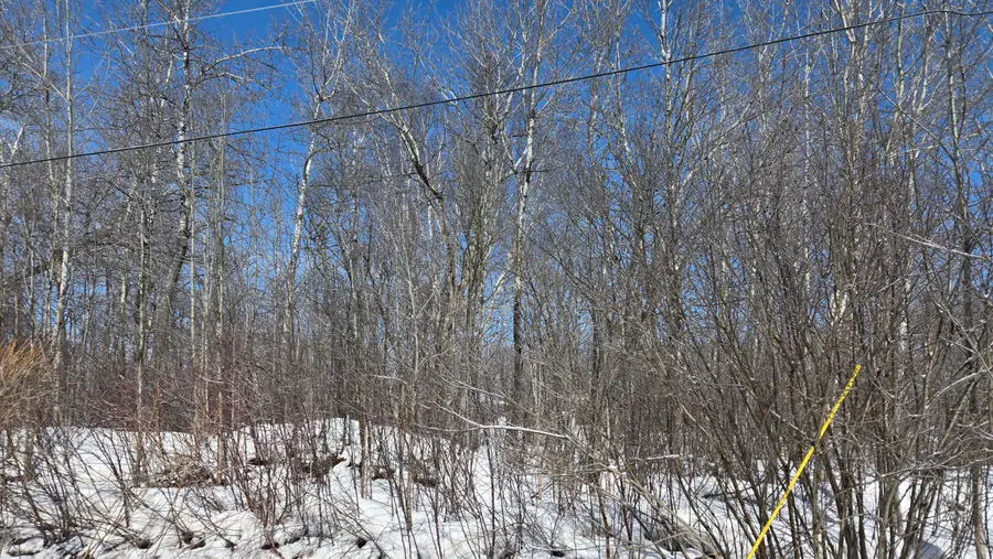 0 S Maple Wood Dr, Sault Sainte Marie, MI 49783 - Image #2