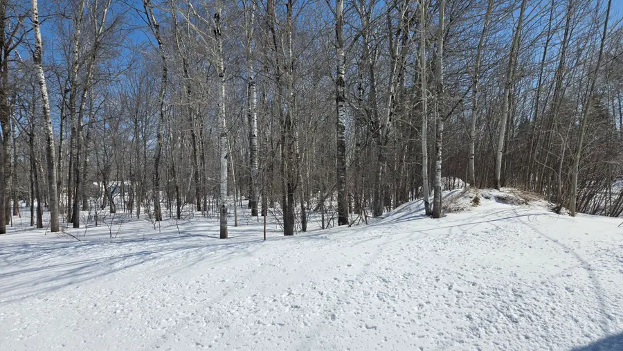 0 S Maple Wood Dr, Sault Sainte Marie, MI 49783 - Image #3