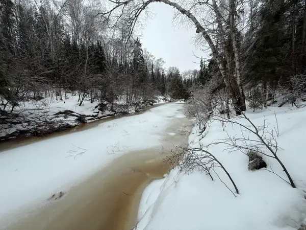 12180 W Turner Rd, Rudyard, MI 49780