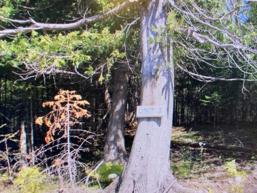 TBD Old Ferry Dock Rd, Drummond Island, MI 49726 - Image #3